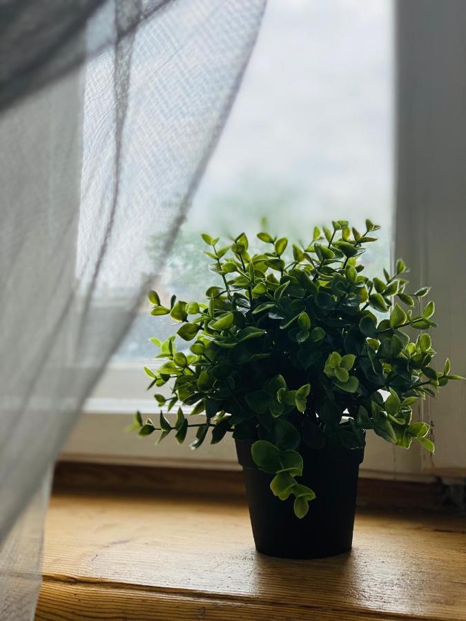Cosy Apartment Рига Екстериор снимка